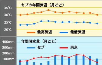 セブの気温と降水量