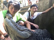 cebuzoo