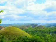 chocolate hills