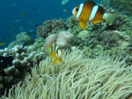 バリカサグの海